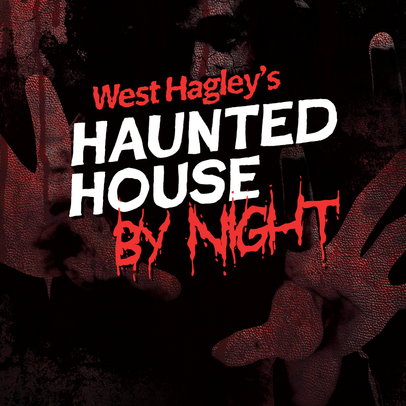 West Hagley: Haunted House by Night 2025