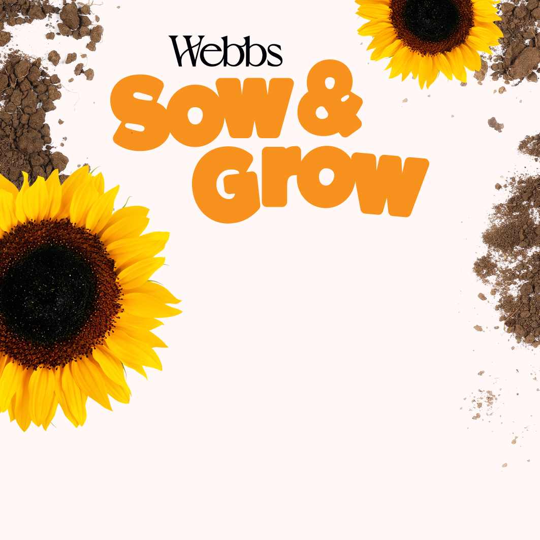 West Hagley: Sow & Grow 2024