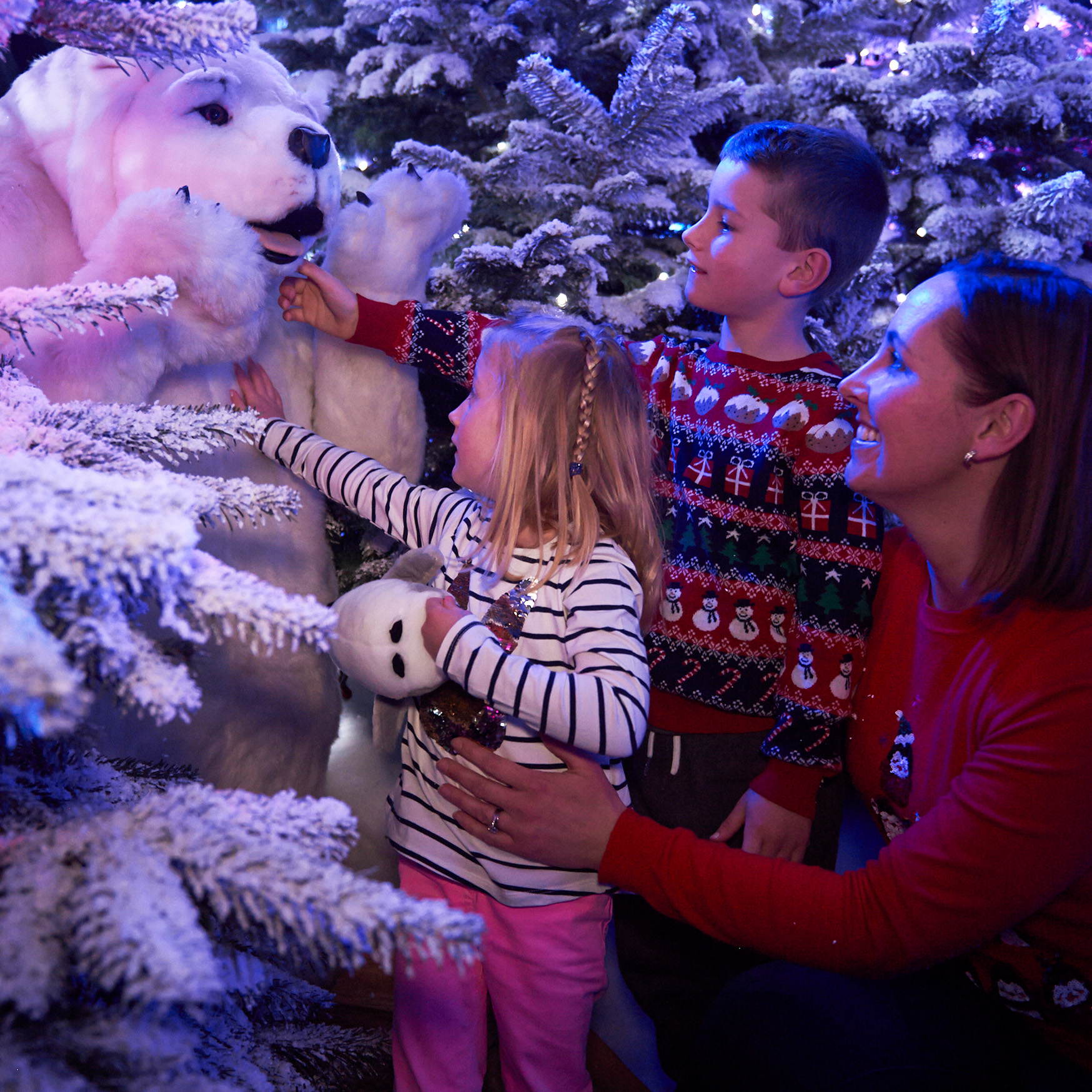 Cheltenham: Christmas Grotto 2021