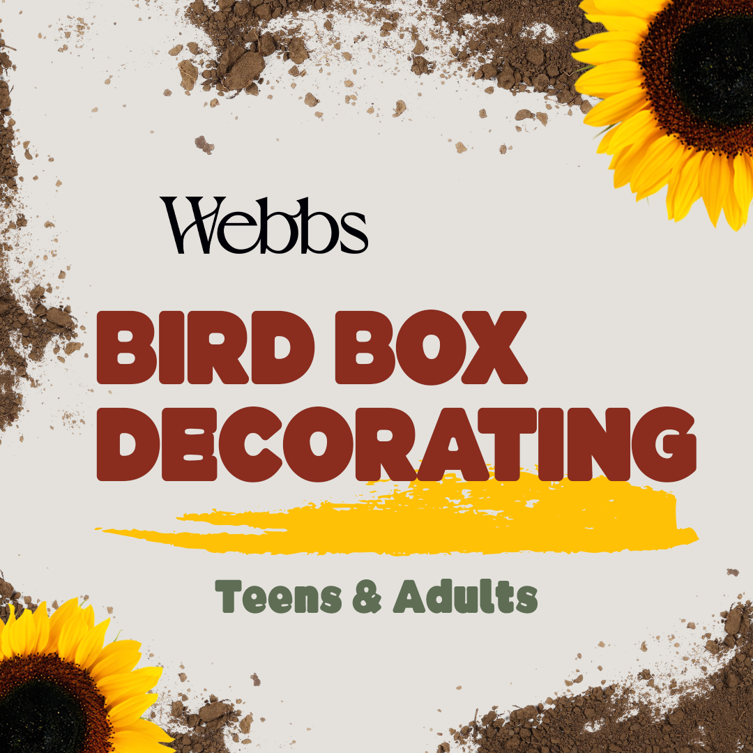 Wychbold: Teens & Adults Birdbox Decorating 2026
