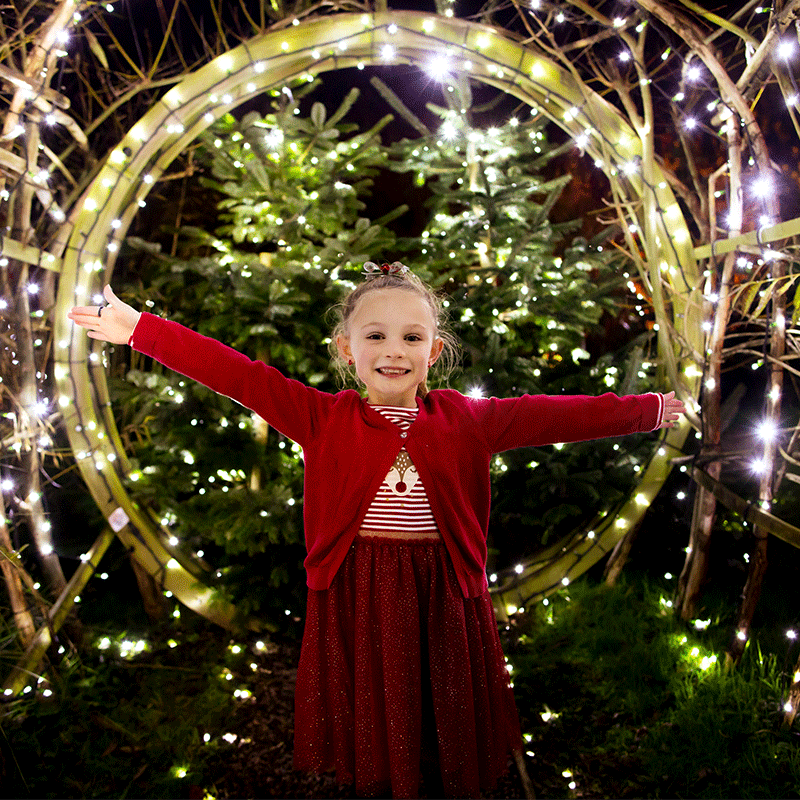 Wychbold: The Enchanted Gardens at Webbs 2023